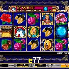 e77 Rio de Janeiro - Bonus Terms